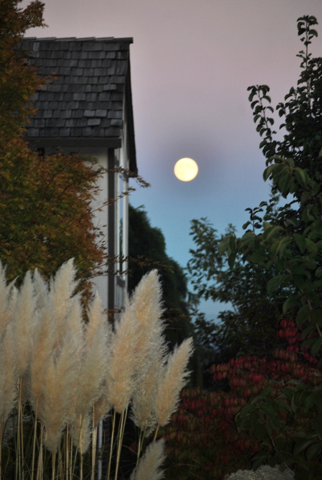 Full Moon Oct 7 - 2014 (5a)
