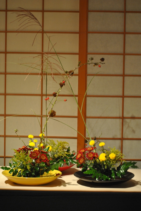 Hoa Cuc va Nghe thuat Ikebana (58)
